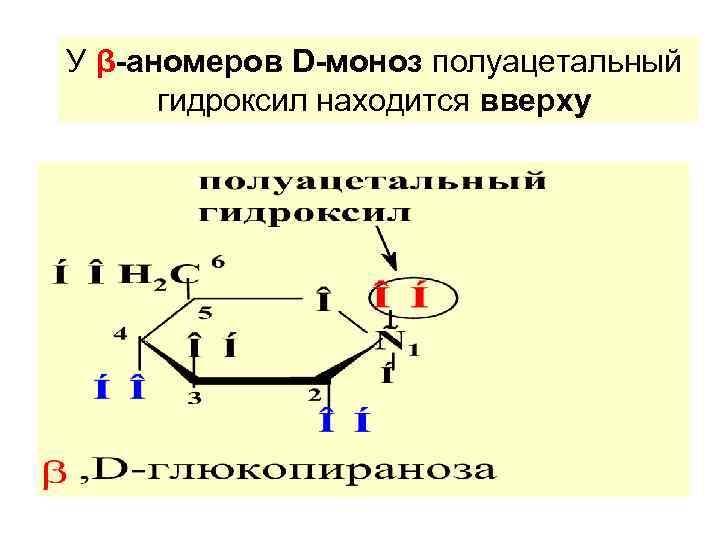 У β-аномеров D-моноз полуацетальный  гидроксил находится вверху 