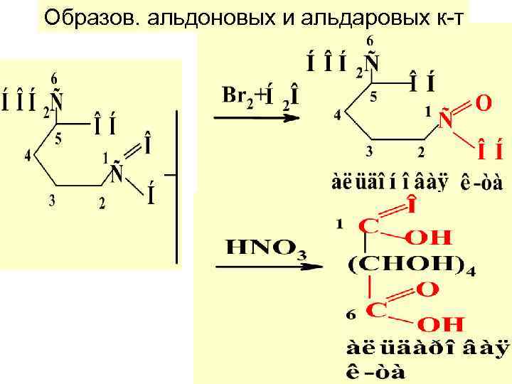 Образов. альдоновых и альдаровых к-т 