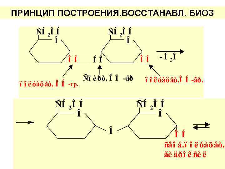 ПРИНЦИП ПОСТРОЕНИЯ. ВОССТАНАВЛ. БИОЗ 