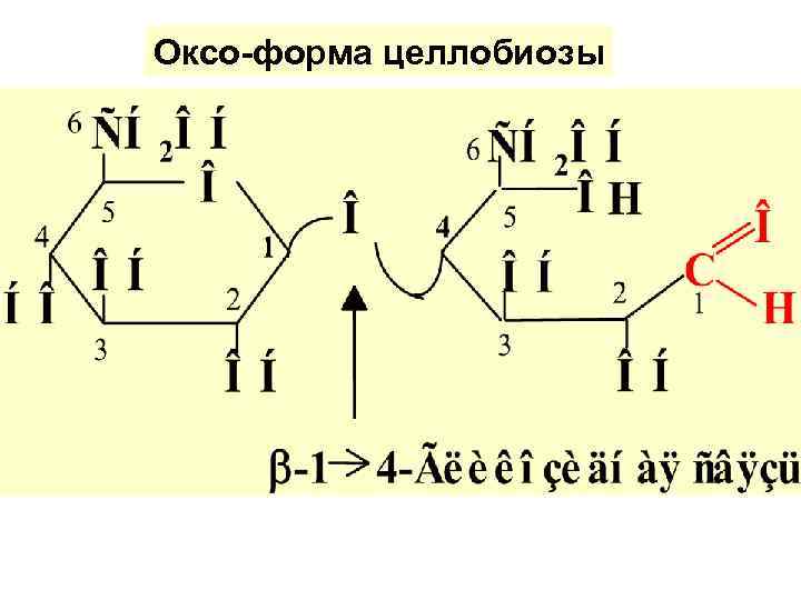 Схема образования целлобиозы