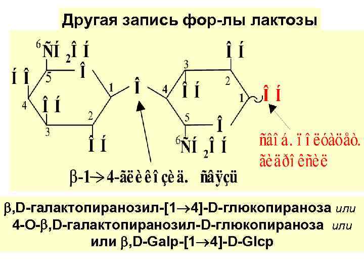   Другая запись фор-лы лактозы , D-галактопиранозил-[1 4]-D-глюкопираноза или 4 -О- , D-галактопиранозил-D-глюкопираноза