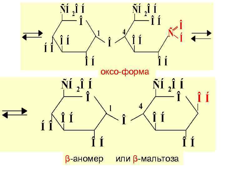   оксо-форма β-аномер  или β-мальтоза 