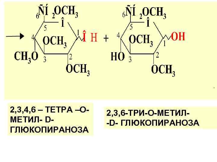 O 4 6. Метил 2 3 4 6 тетра о метил а d галактопиранозид. Альфа этил 2,3,4,6 тетра о метил д галактопиранозид. Метил 2.3.4.6 тетра o метил д галактопиранозид. 2,3,4,6- Тетра-о-метил- d-глюкопираноза..