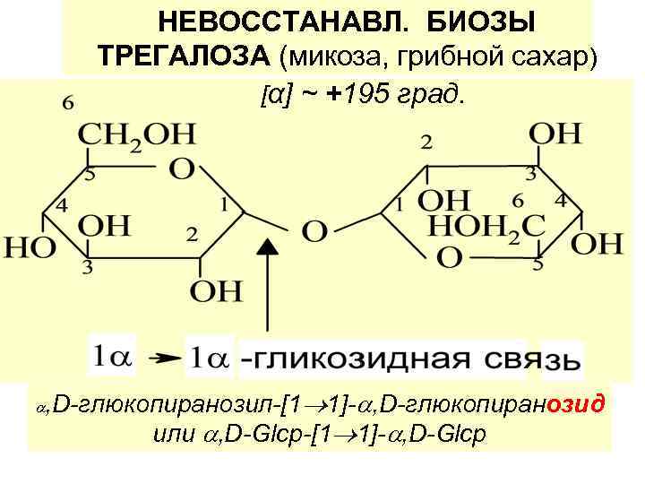   НЕВОССТАНАВЛ. БИОЗЫ ТРЕГАЛОЗА (микоза, грибной сахар)   [α] ~ +195 град.