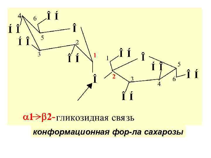 конформационная фор-ла сахарозы 