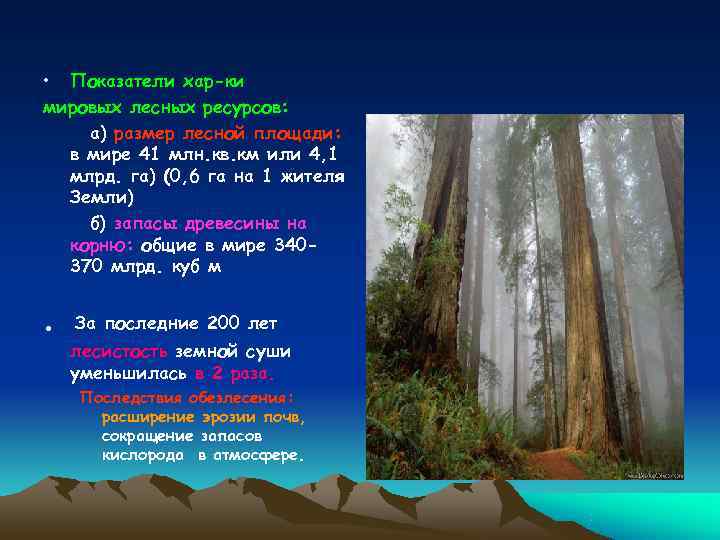  • Показатели хар-ки мировых лесных ресурсов: а) размер лесной площади:  в мире