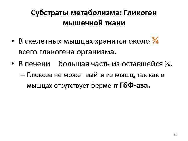  Субстраты метаболизма: Гликоген   мышечной ткани  • В скелетных мышцах хранится