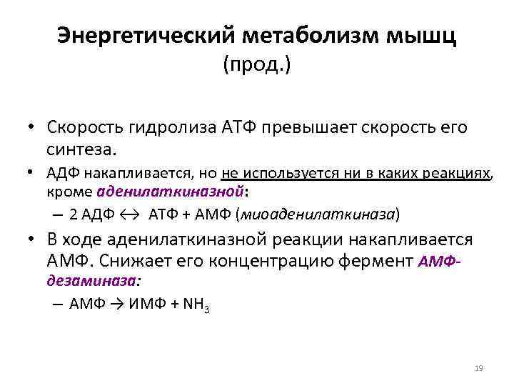   Энергетический метаболизм мышц     (прод. )  • Скорость