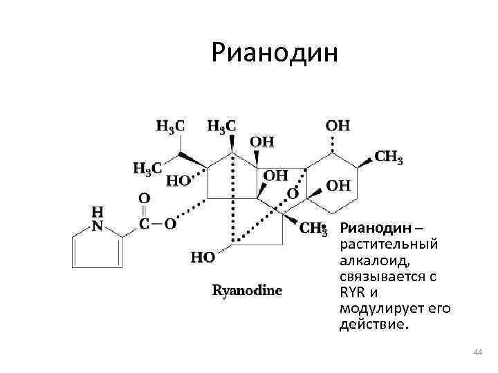 Рианодин  • Рианодин –   растительный   алкалоид,   связывается