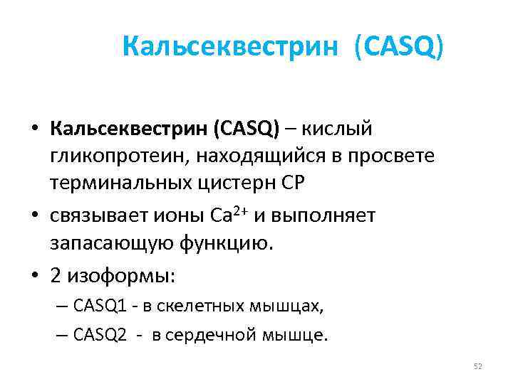   Кальсеквестрин (CASQ)  • Кальсеквестрин (CASQ) – кислый  гликопротеин, находящийся в