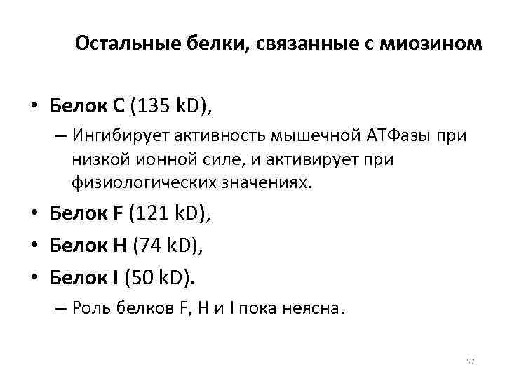   Остальные белки, связанные с миозином  • Белок C (135 k. D),