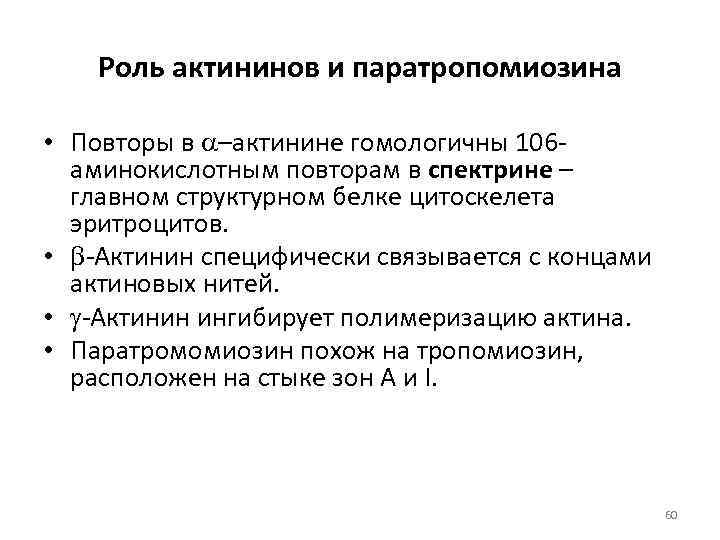   Роль актининов и паратропомиозина  • Повторы в a–актинине гомологичны 106 -