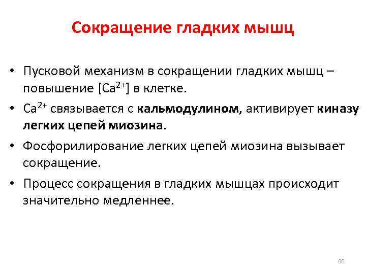 Характеристика сокращение. Механизм сокращения гладких мышц биохимия. Механизм сокращения гладких мышц физиология. Механизм сокращения и расслабления гладких мышц. Механизм мышечного сокращения гладких мышц.