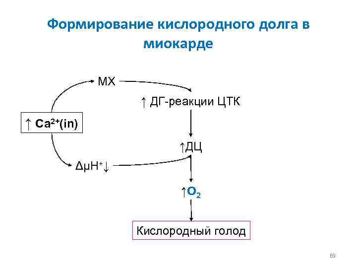   Формирование кислородного долга в    миокарде    МХ