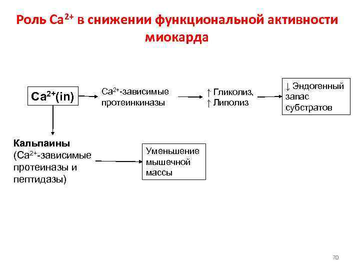Роль Ca 2+ в снижении функциональной активности    миокарда   