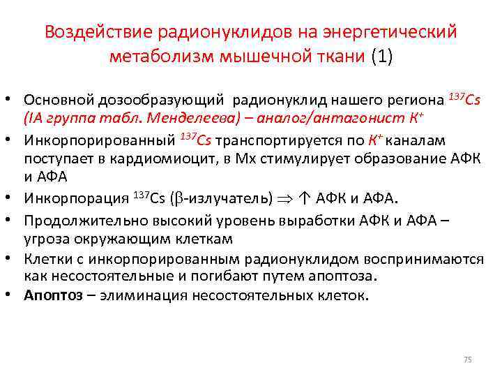   Воздействие радионуклидов на энергетический  метаболизм мышечной ткани (1)  • Основной
