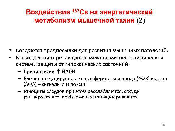  Воздействие 137 Cs на энергетический   метаболизм мышечной ткани (2) • Создаются