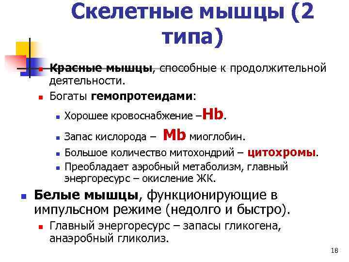    Скелетные мышцы (2     типа) n  Красные