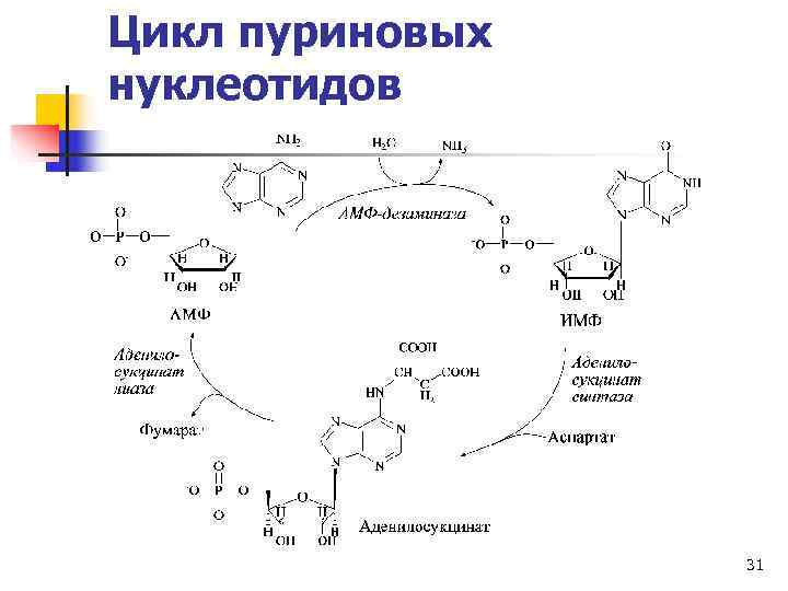 Схема пуринового обмена