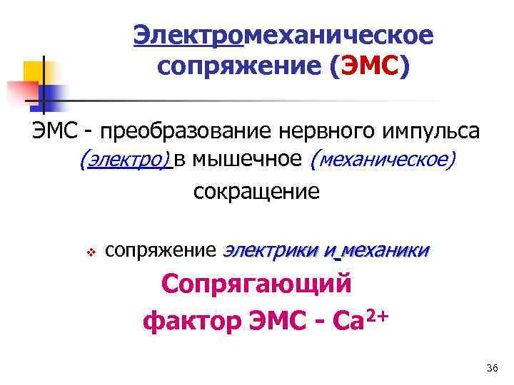    Электромеханическое  сопряжение (ЭМС) ЭМС - преобразование нервного импульса  (электро)