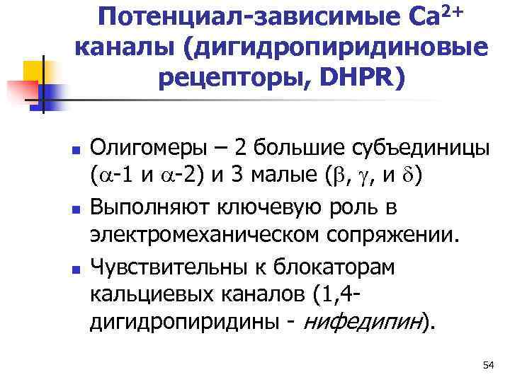  Потенциал-зависимые Ca 2+ каналы (дигидропиридиновые  рецепторы, DHPR) n  Олигомеры – 2