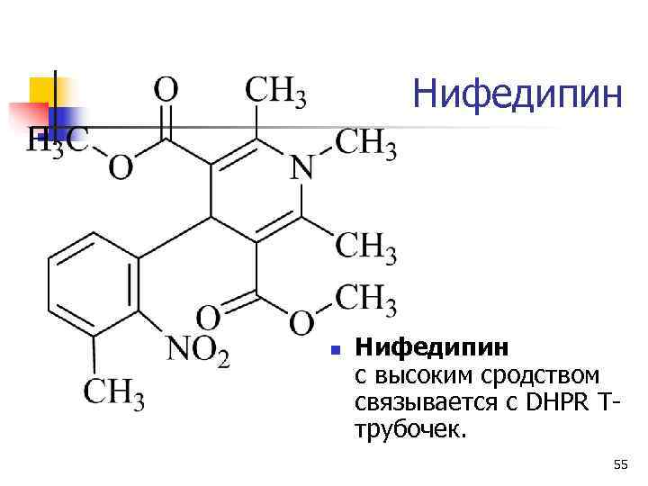   Нифедипин n  Нифедипин с высоким сродством связывается с DHPR T- трубочек.