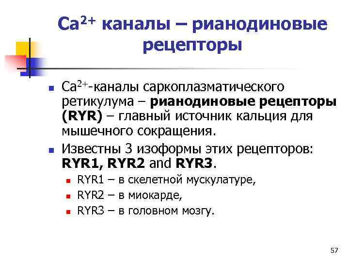   Ca 2+ каналы – рианодиновые   рецепторы n  Ca 2+-каналы