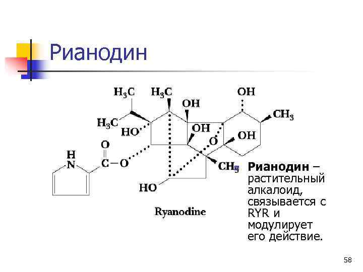 Рианодин    n  Рианодин –    растительный  