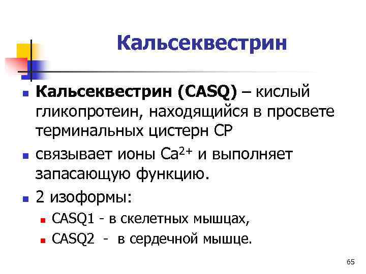     Кальсеквестрин n  Кальсеквестрин (CASQ) – кислый гликопротеин, находящийся в
