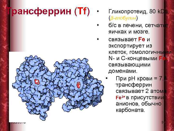 Трансферрин сыворотки крови. Трансферрин. Белок трансферрин. Трансферрин строение. Трансферрин структура.