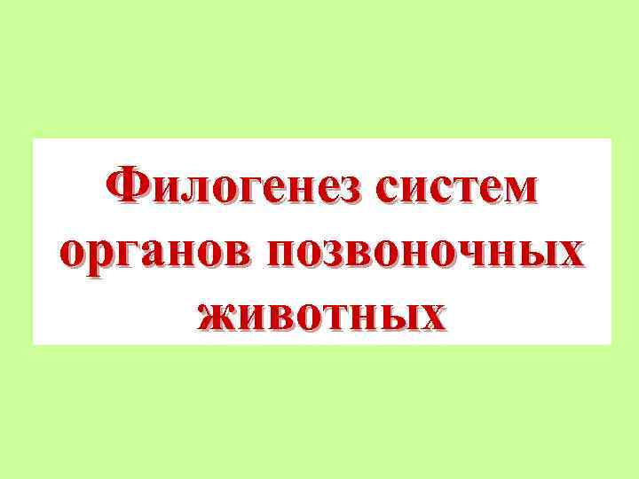  Филогенез систем органов позвоночных животных 