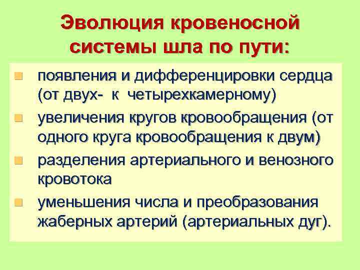  Эволюция кровеносной  системы шла по пути: n появления и дифференцировки сердца 
