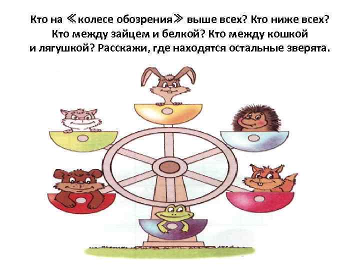 Кто на ≪колесе обозрения≫ выше всех? Кто ниже всех? Кто между зайцем и белкой?