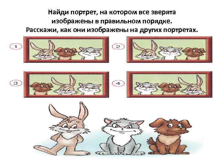  Найди портрет, на котором все зверята  изображены в правильном порядке. Расскажи, как