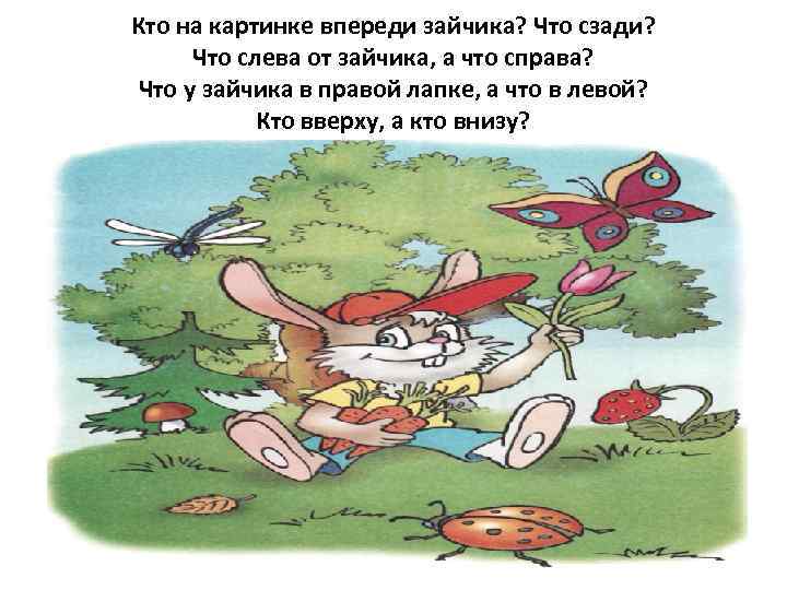 Кто на картинке впереди зайчика? Что сзади?  Что слева от зайчика, а что