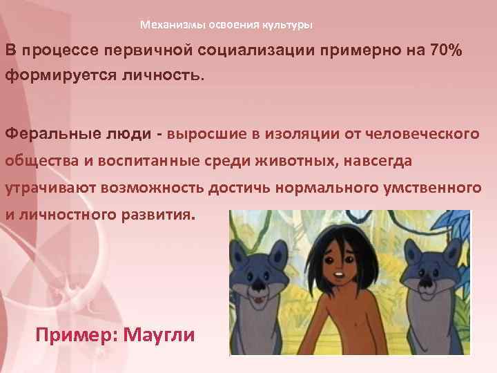     Механизмы освоения культуры В процессе первичной социализации примерно на 70%