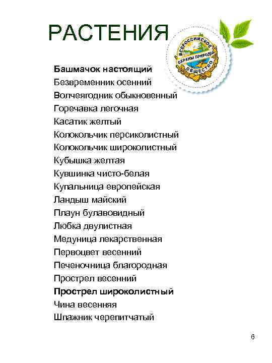  РАСТЕНИЯ  Башмачок настоящий  Безвременник осенний  Волчеягодник обыкновенный  Горечавка легочная