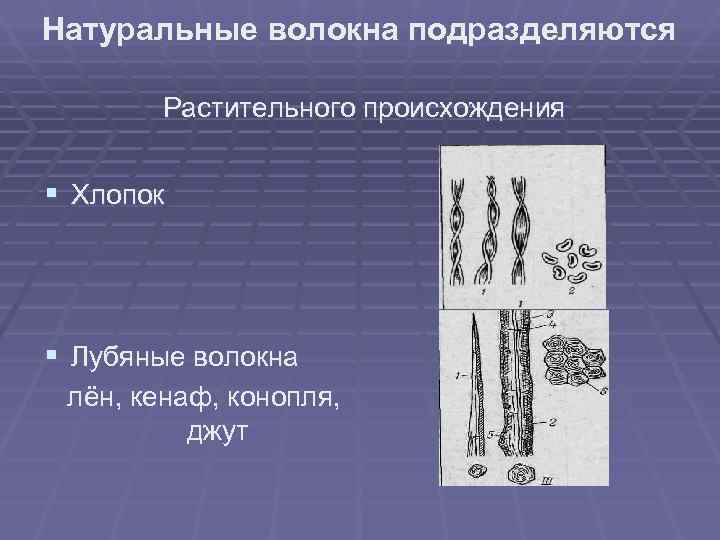 Натуральные волокна подразделяются   Растительного происхождения  § Хлопок  § Лубяные волокна