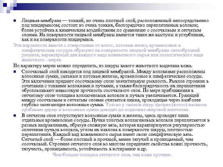 n Лицевая мембрана — тонкий, но очень плотный слой, расположенный непосредственно  под эпидермисом;