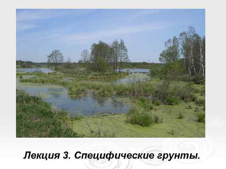 Лекция 3. Специфические грунты. 