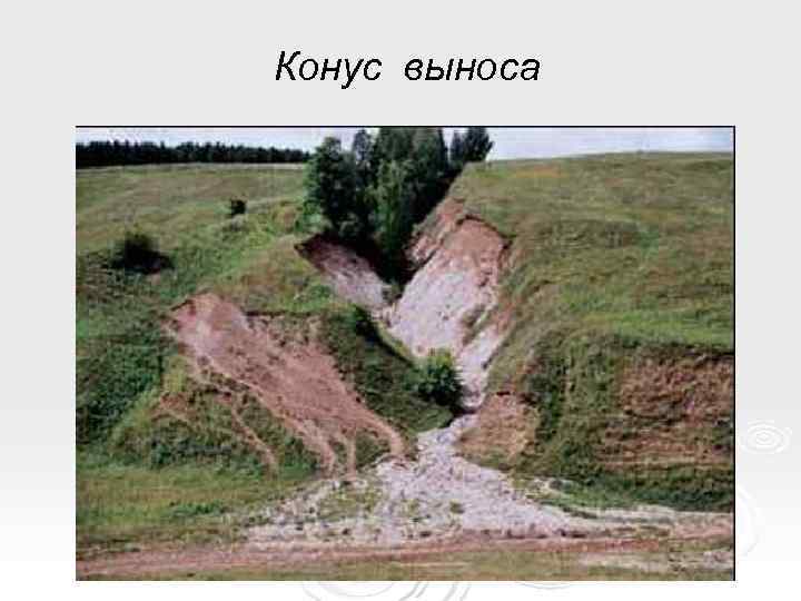 Конус выноса 