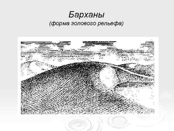  Барханы (форма эолового рельефа) 