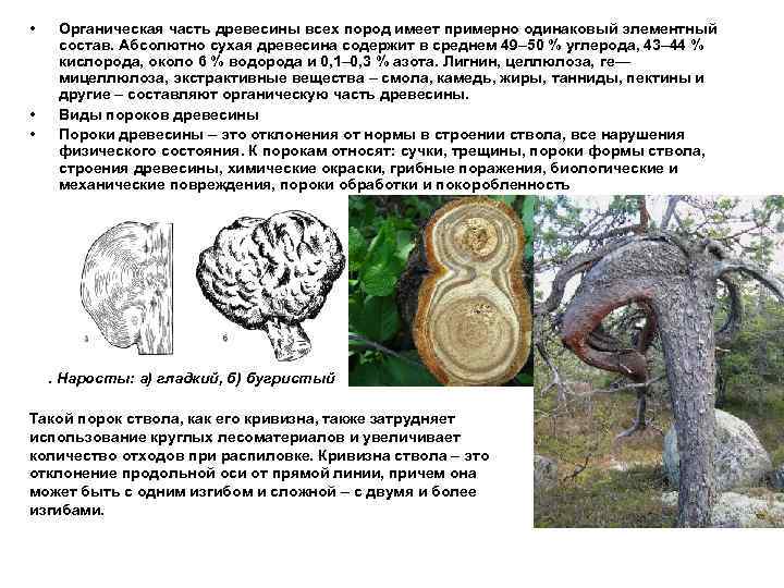  • Органическая часть древесины всех пород имеет примерно одинаковый элементный  состав. Абсолютно