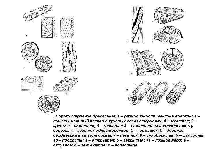 Нарисовать пороки древесины