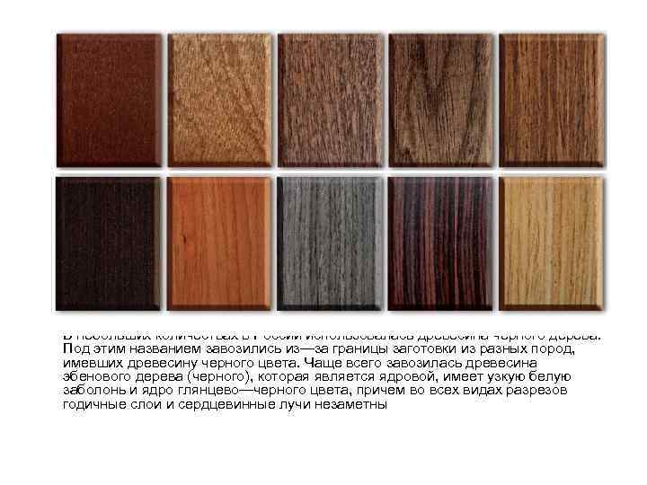  •  Породы ограниченного применения •  С давних пор в степной зоне