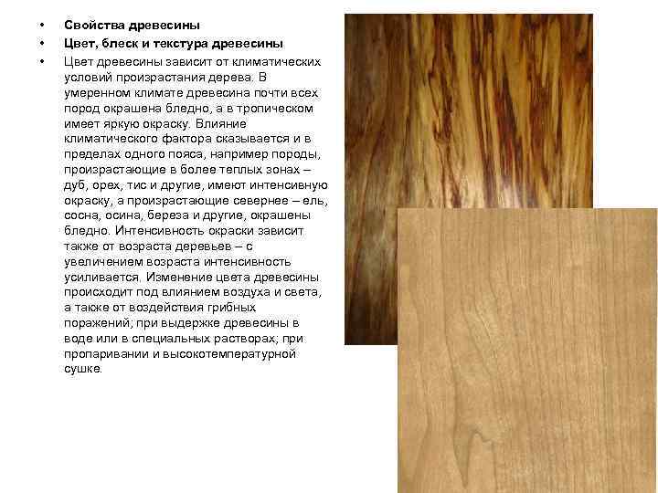  •  Свойства древесины •  Цвет, блеск и текстура древесины • 