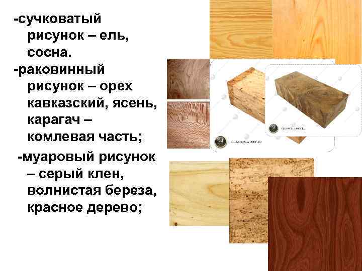  сучковатый  рисунок – ель, сосна.  раковинный  рисунок – орех 