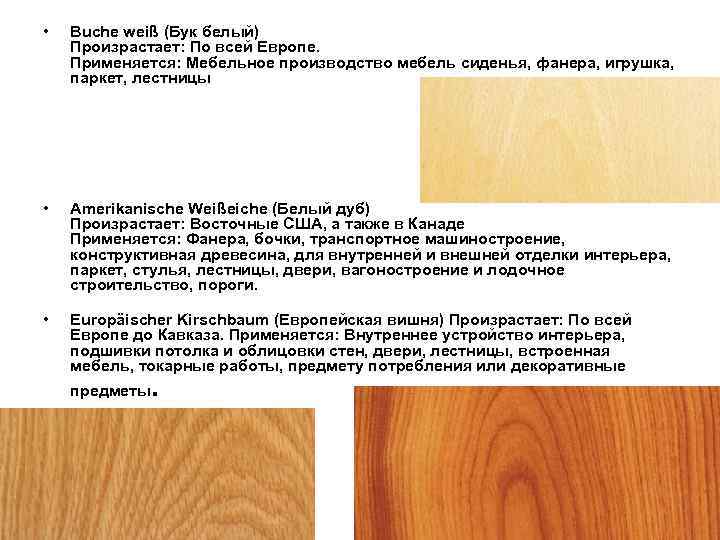  •  Buche weiß (Бук белый) Произрастает: По всей Европе. Применяется: Мебельное производство