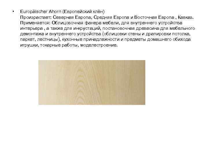  •  Europäischer Ahorn (Европейский клён) Произрастает: Северная Европа, Средняя Европа и Восточная