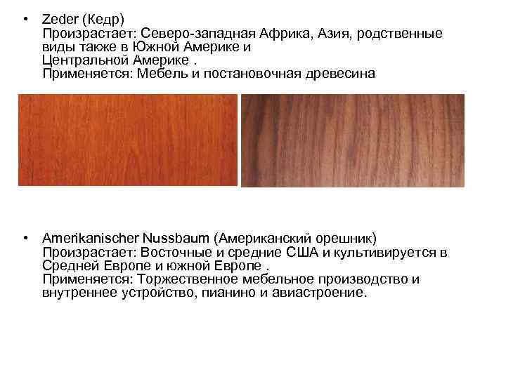  • Zeder (Кедр)  Произрастает: Северо западная Африка, Азия, родственные  виды также